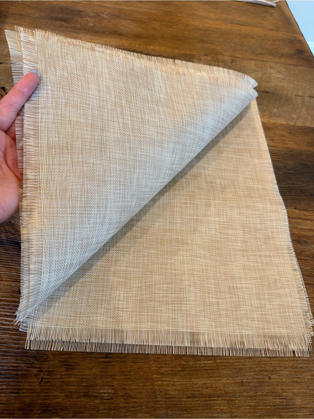 Neutral Beige Woven Placemats - Set of 4